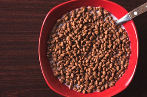WANT TO KNOW HOW COCO POPS ARE MADE?
