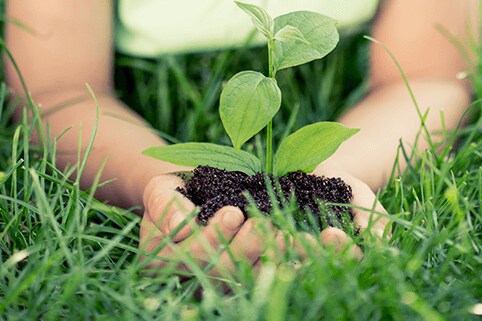REDUCING WATER, ENERGY & WASTE