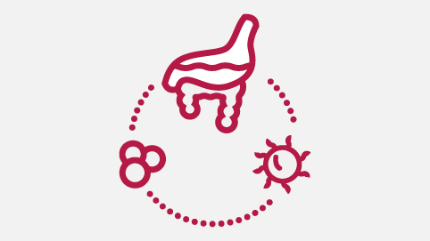 Kellogg’s Gut and Immune Cells Infographic