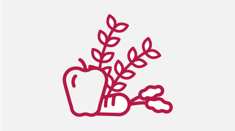 Kellogg’s Gut Bacteria and Nutrients Infographic